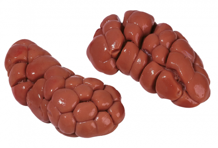 Nieren-Rinder-hacilar-fleisch